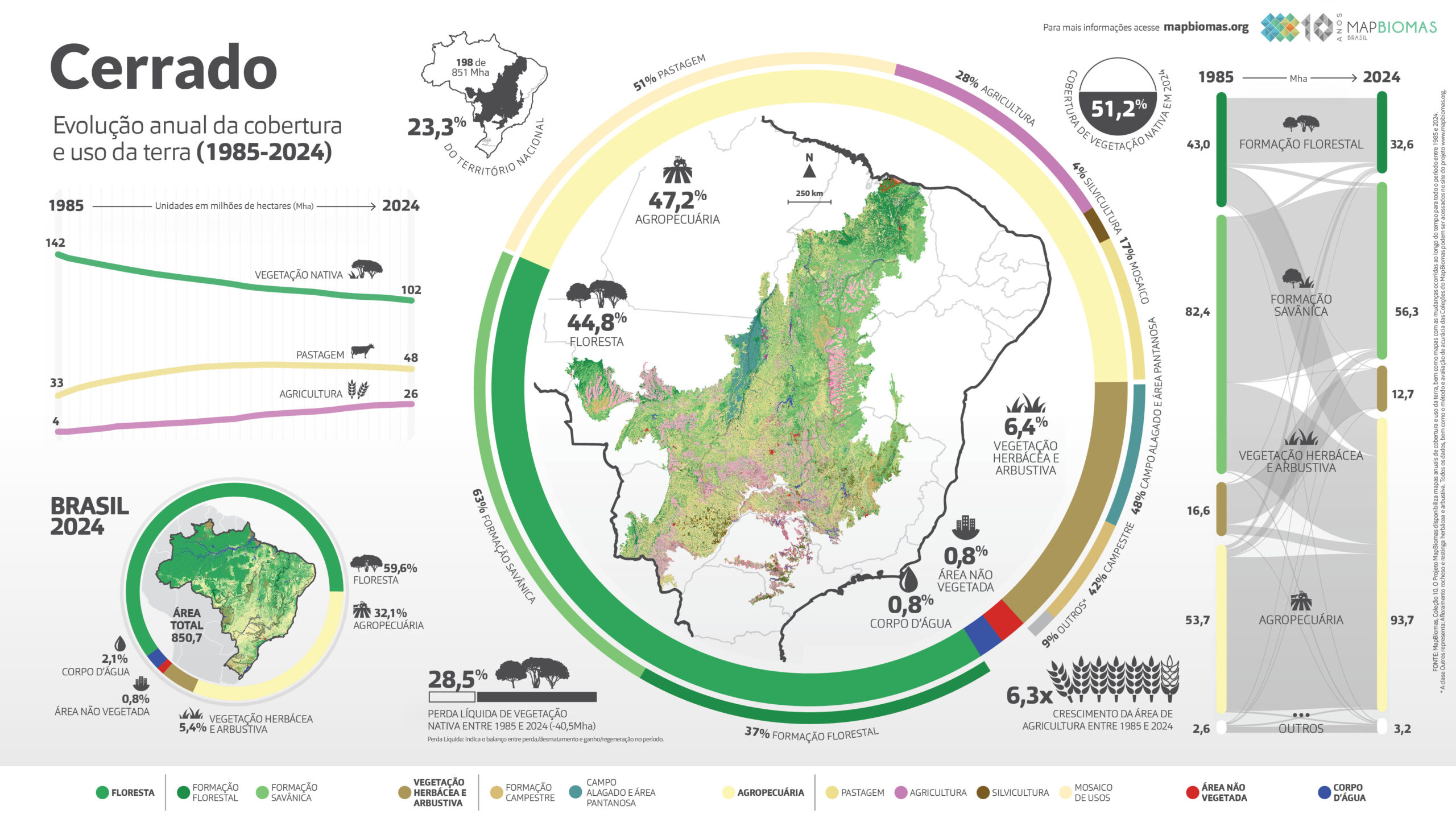Infográfico do MapBiomas sobre o bioma Cerrado